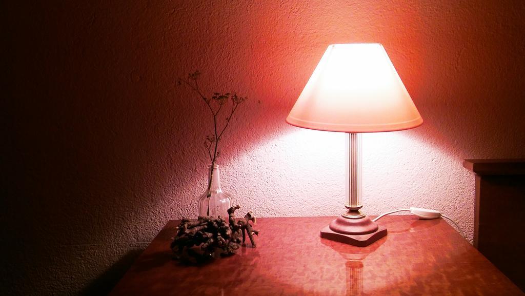 Apartmani Conar Veliki Drvenik Buitenkant foto