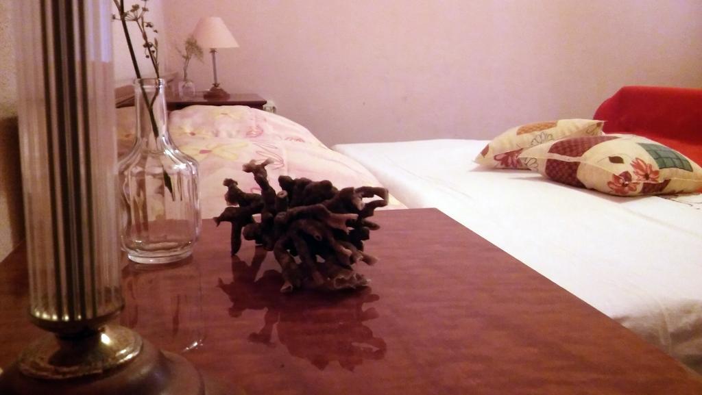 Apartmani Conar Veliki Drvenik Buitenkant foto